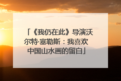 《我仍在此》导演沃尔特·塞勒斯：我喜欢中国山水画的留白