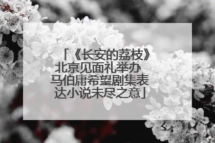 《长安的荔枝》北京见面礼举办 马伯庸希望剧集表达小说未尽之意