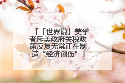 「世界说」美学者斥美政府关税政策反复无常正在制造“经济创伤”