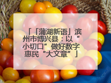 「蒲湖新语」滨州市博兴县：以“小切口”做好数字惠民“大文章”