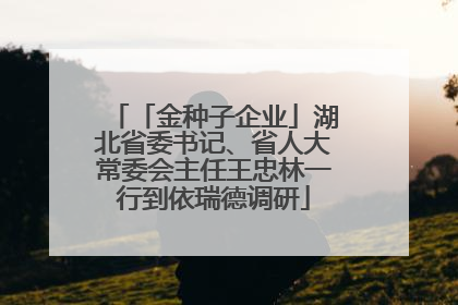 「金种子企业」湖北省委书记、省人大常委会主任王忠林一行到依瑞德调研