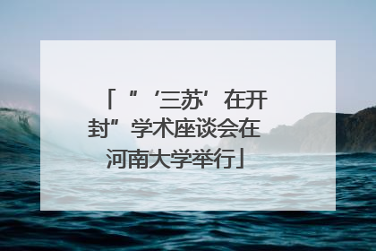 “‘三苏’在开封”学术座谈会在河南大学举行