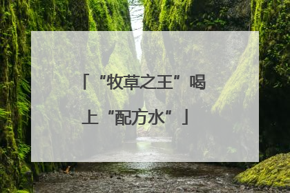 “牧草之王”喝上“配方水”