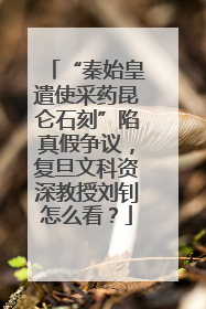 “秦始皇遣使采药昆仑石刻”陷真假争议，复旦文科资深教授刘钊怎么看？