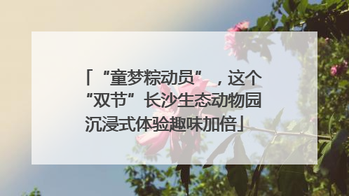 “童梦粽动员”，这个“双节”长沙生态动物园沉浸式体验趣味加倍