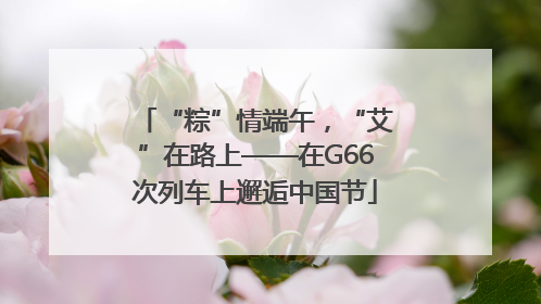 “粽”情端午，“艾”在路上——在G66次列车上邂逅中国节