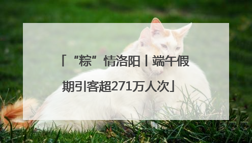 “粽”情洛阳丨端午假期引客超271万人次