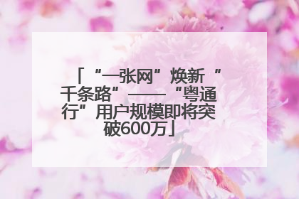 “一张网”焕新“千条路”——“粤通行”用户规模即将突破600万