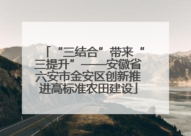 “三结合”带来“三提升”——安徽省六安市金安区创新推进高标准农田建设