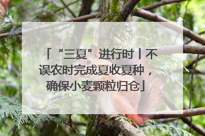 “三夏”进行时丨不误农时完成夏收夏种，确保小麦颗粒归仓