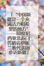 “中国新疆是一个充满活力和希望的地方”——印度尼西亚北苏门答腊省伊斯兰教代表团参访新疆