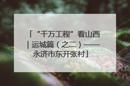 “千万工程”看山西｜运城篇（之二）——永济市东开张村