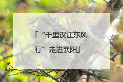 “千里汉江东风行”走进襄阳