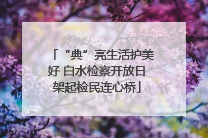 “典”亮生活护美好 白水检察开放日架起检民连心桥