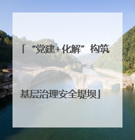 “党建+化解”构筑基层治理安全堤坝