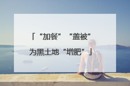 “加餐”“盖被” 为黑土地“增肥”