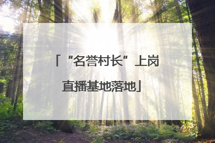 “名誉村长”上岗 直播基地落地