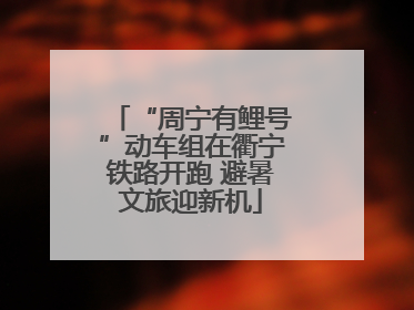 “周宁有鲤号”动车组在衢宁铁路开跑 避暑文旅迎新机