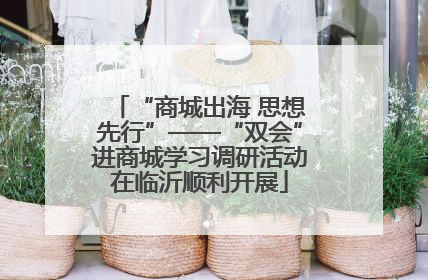 “商城出海 思想先行”——“双会”进商城学习调研活动在临沂顺利开展