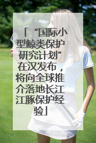 “国际小型鲸类保护研究计划”在汉发布，将向全球推介落地长江江豚保护经验