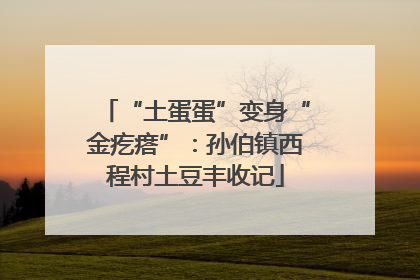 “土蛋蛋”变身“金疙瘩”：孙伯镇西程村土豆丰收记