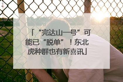 “完达山一号”可能已“脱单”！东北虎种群也有新喜讯