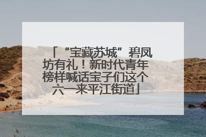 “宝藏苏城”碧凤坊有礼！新时代青年榜样喊话宝子们这个六一来平江街道