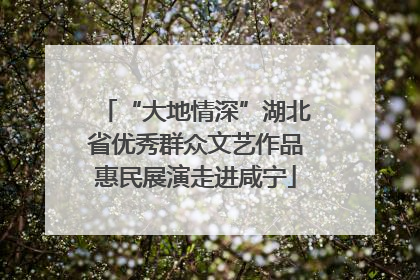 “大地情深”湖北省优秀群众文艺作品惠民展演走进咸宁