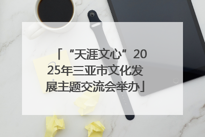 “天涯文心”2025年三亚市文化发展主题交流会举办