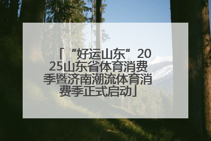 “好运山东”2025山东省体育消费季暨济南潮流体育消费季正式启动