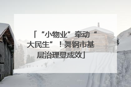 “小物业”牵动“大民生”！舞钢市基层治理显成效