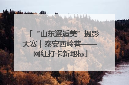 “山东邂逅美”摄影大赛｜泰安西岭巷——网红打卡新地标