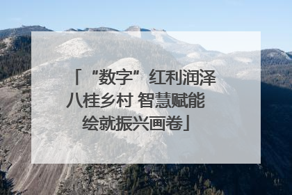 “数字”红利润泽八桂乡村 智慧赋能绘就振兴画卷