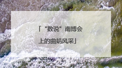 “数说”南博会上的曲靖风采