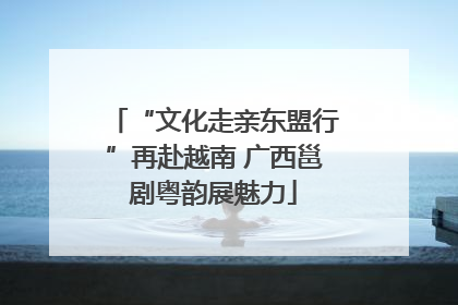 “文化走亲东盟行”再赴越南 广西邕剧粤韵展魅力