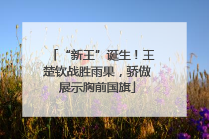 “新王”诞生！王楚钦战胜雨果，骄傲展示胸前国旗