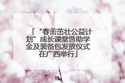 “春蕾茁壮公益计划”成长课堂暨助学金及装备包发放仪式在广西举行