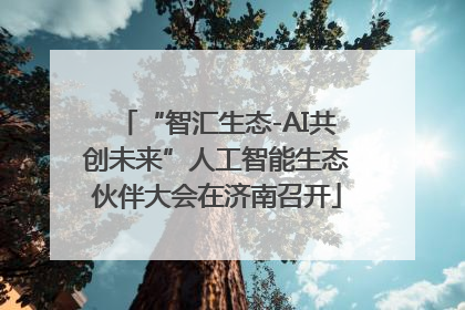 “智汇生态-AI共创未来”人工智能生态伙伴大会在济南召开