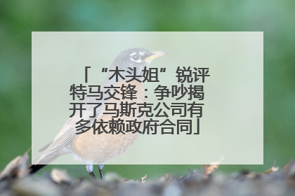 “木头姐”锐评特马交锋：争吵揭开了马斯克公司有多依赖政府合同