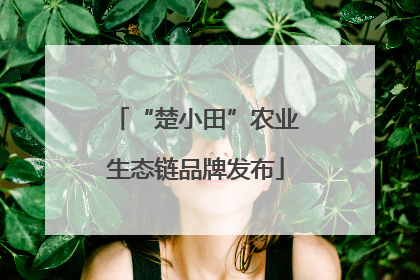 “楚小田”农业生态链品牌发布