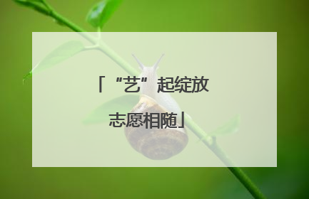“艺”起绽放 志愿相随