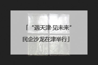 “遇天津·见未来”民企沙龙在津举行