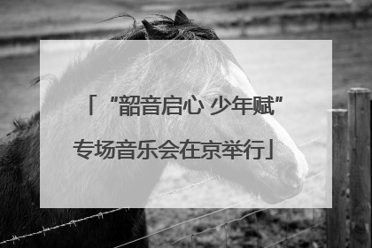 “韶音启心 少年赋”专场音乐会在京举行