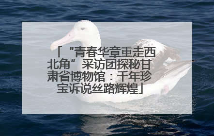 “青春华章重走西北角”采访团探秘甘肃省博物馆：千年珍宝诉说丝路辉煌