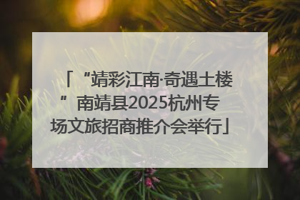 “靖彩江南·奇遇土楼”南靖县2025杭州专场文旅招商推介会举行