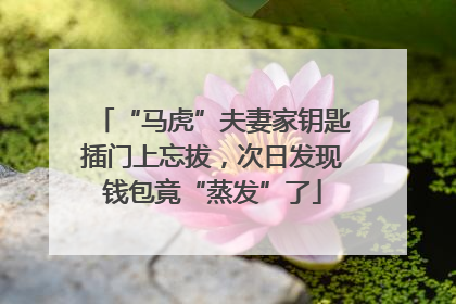 “马虎”夫妻家钥匙插门上忘拔，次日发现钱包竟“蒸发”了