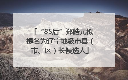 “85后”郑皓元拟提名为辽宁地级市县（市、区）长候选人