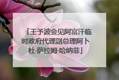 王予波会见阿富汗临时政府代理副总理阿卜杜·萨拉姆·哈纳菲