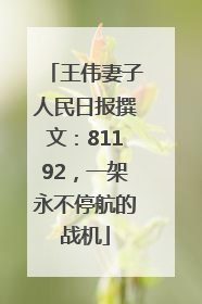 王伟妻子人民日报撰文：81192，一架永不停航的战机