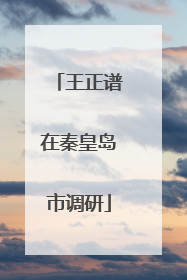 王正谱在秦皇岛市调研
